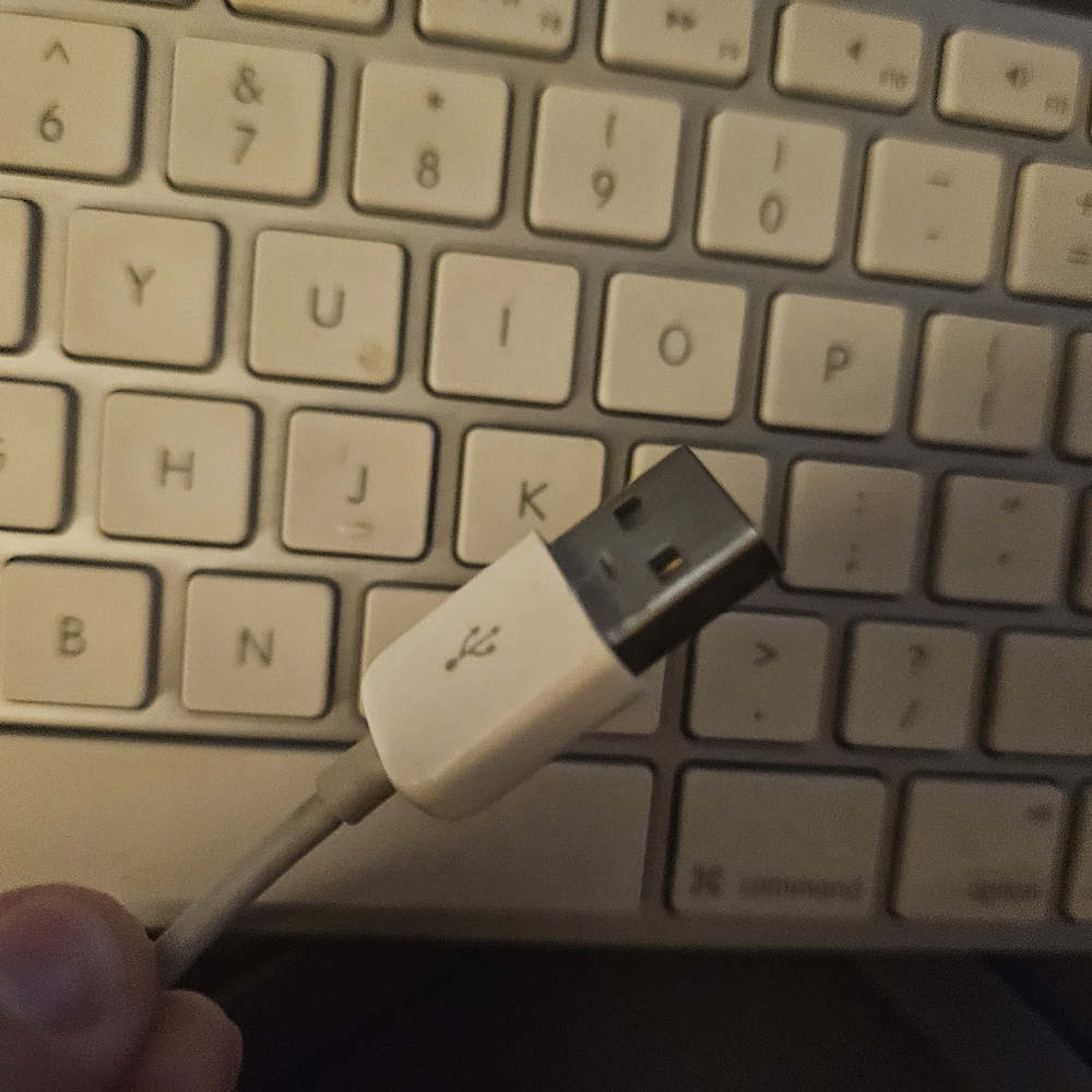 Apple Wireless Keyboard - Picture 5 of 7